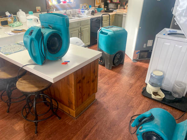 Best Water damage contractors near me  in Lake Crystal, MN