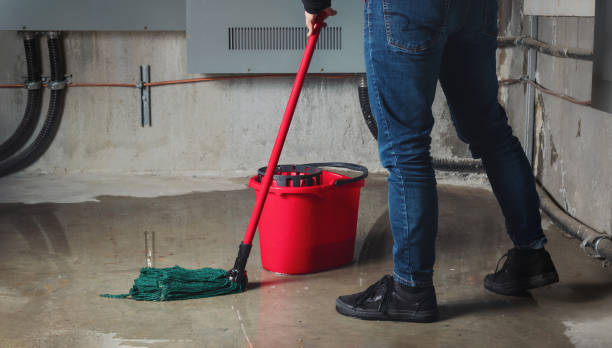 Best Ceiling water damage repair  in Lake Crystal, MN