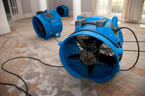 Best Emergency water damage restoration  in Lake Crystal, MN