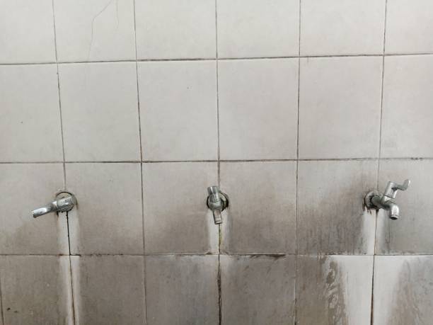 Best Mold removal after water damage  in Lake Crystal, MN