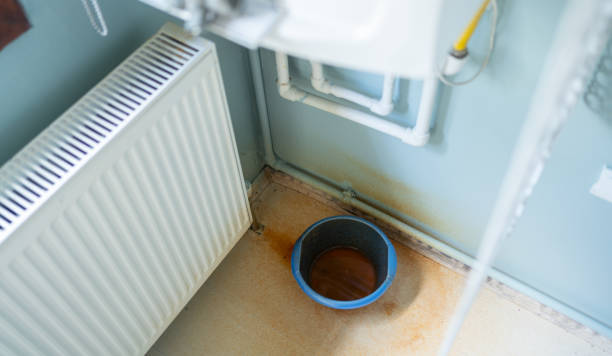 Water damage restoration mold remediation in MN