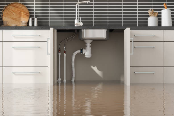 Best Flood restoration services  in Lake Crystal, MN